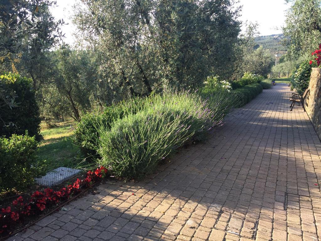 فينشي Podere Jana Antico Frantoio المظهر الخارجي الصورة